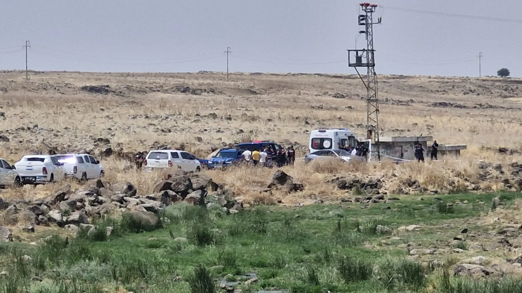 Diyarbakır Bağlar'da arazide bulunan cansız beden sonrası iki şüpheli gözaltına alındı