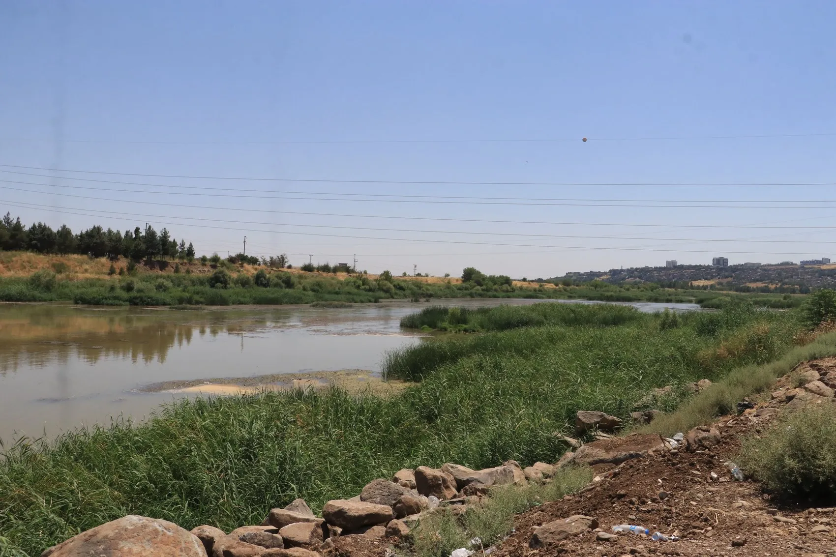 Dicle Vadisi çöplüğe döndü Uzmanlar yaban hayatı ve çevre için alarm verdi